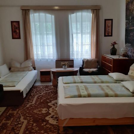 Marika Vendeghaz Διαμέρισμα Abádszalók Εξωτερικό φωτογραφία